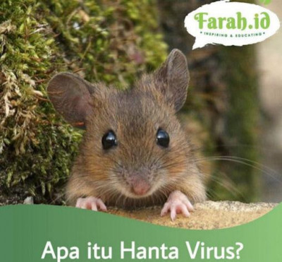 Cegah Hantavirus, Ini 8 Hal Yang Bisa Bunda Lakukan