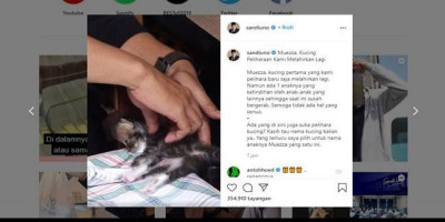 Kucing Kesayangan Melahirkan, Sandiaga Uno Minta Netizen Kasih Usulan Nama Yang Lucu