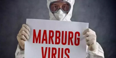  Marburg Serang Afrika, WHO Desak Pemerintah untuk Laporkan Kasus