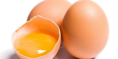 Telur Ayam, Sumber Protein yang Tak Boleh Diabaikan