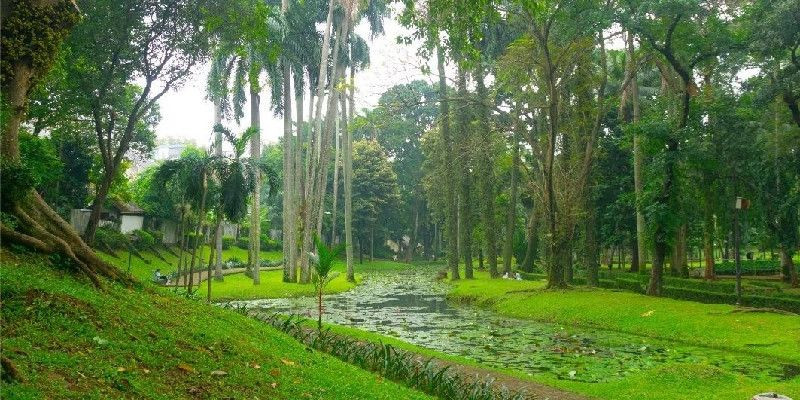 Taman Langsat yang teduh. (Instagram/@tamanlangsat.jkt)