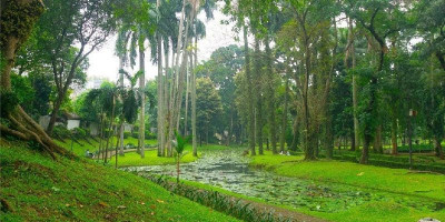 Taman Langsat Fantastis, Si Hijau dari Selatan 