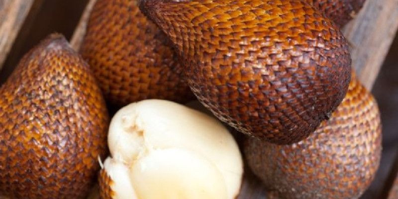 Salak (snake fruit) yang punya banyak manfaat. (Atlas Obscura)