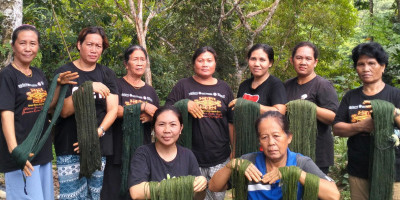 Menguak Tradisi Tenun dan Konservasi Alam di Kapuas Hulu