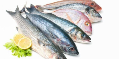 5 Ikan Paling Sehat untuk Dikonsumsi 