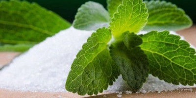 Stevia, Pemanis Pengganti Gula yang Aman Dikonsumsi