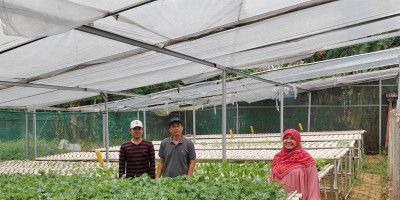 Pendampingan Kewirausahaan Rumah Tani Mandiri Bekasi Melalui Introduksi Pengemasan dan Pemasaran Sebagai Strategi Peningkatan Penjualan dan Pengembangan Produksi Sayuran Organik