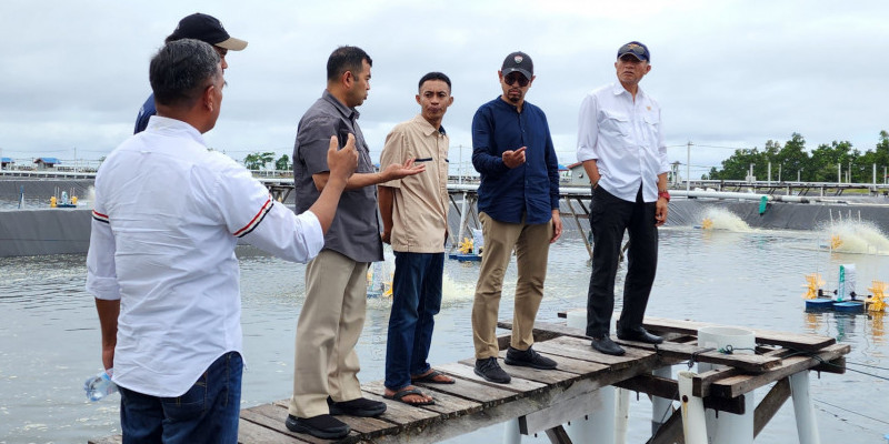 Dubes Lutfi Rauf mengunjungi tambak udang vaname PT Esaputili Prakarsa Utama di Pangi Mautong, Sulteng (16/10) (Ist)