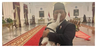 Momen Unik yang Viral, Kebersamaan Presiden Prabowo dan Kucing Bobby Kertanegara di Istana