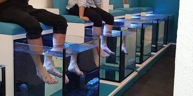 Menikmati fish spa yang menyegarkan pikiran. (Pinterest/relaxing fish spa)